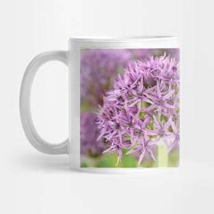 Allium stipitatum  &#39;Violet Beauty&#39; Mug